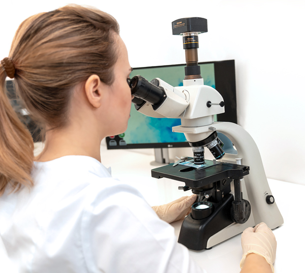 Фотографии