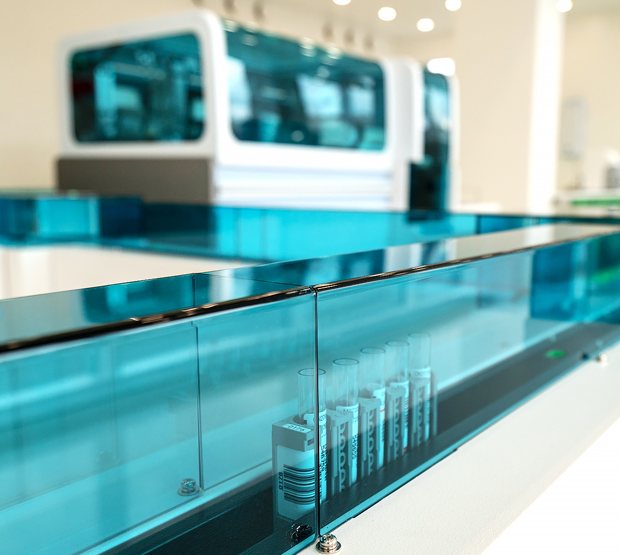 Фотографии