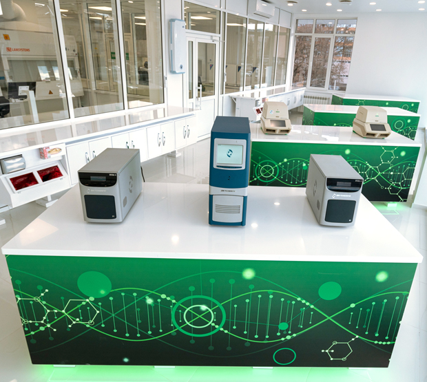 Фотографии